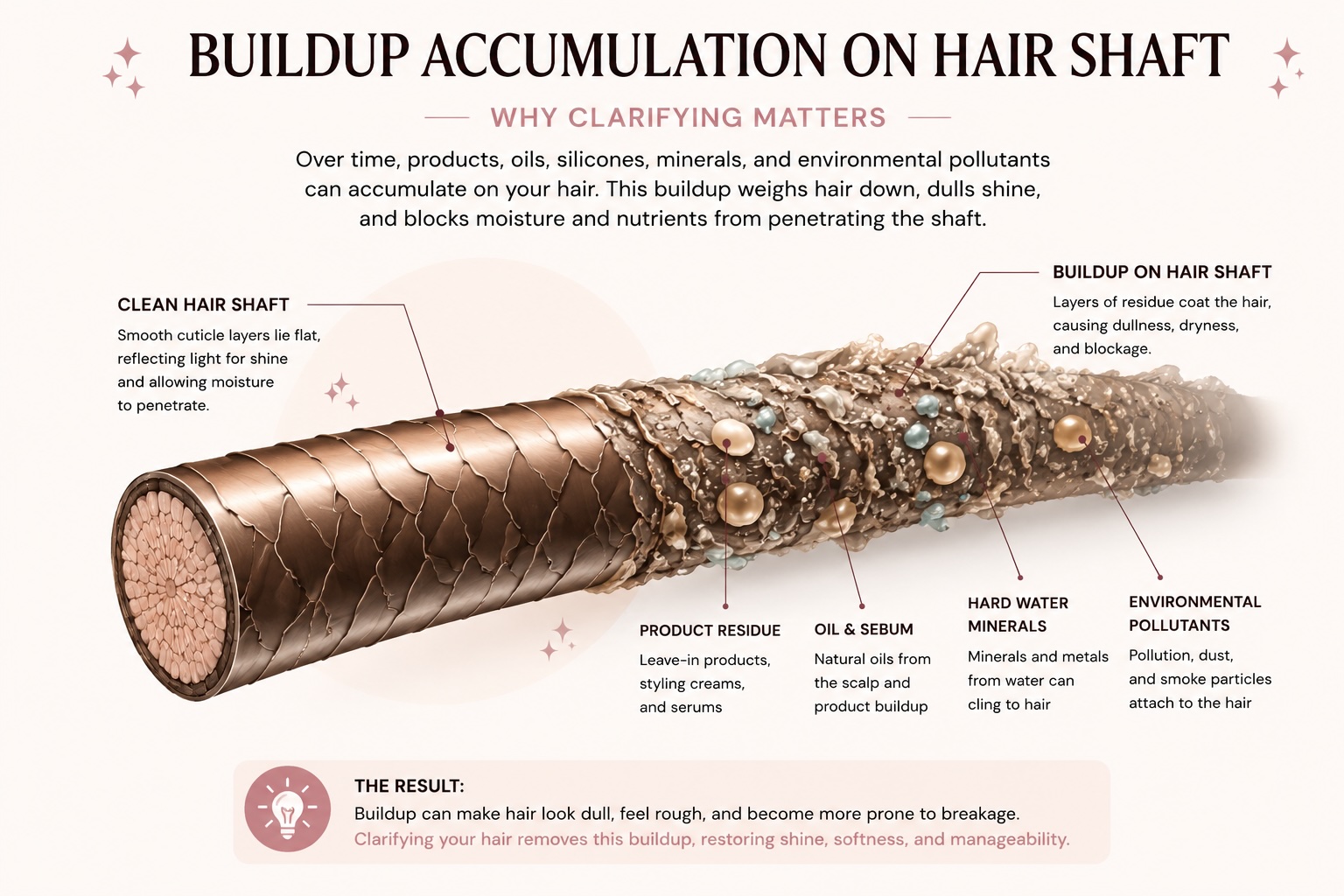 Educational infographic showing buildup accumulation on the hair shaft from styling products, oils, hard water minerals, and environmental pollutants, illustrating why clarifying shampoo is important for healthy hair.